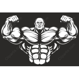 Muscular Man for Fitness and Sports