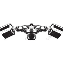 Muscles in Motion: Dynamic Weightlifting