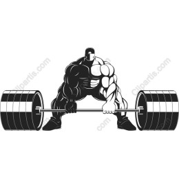 Muscular Weightlifter