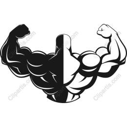 Muscular Flex