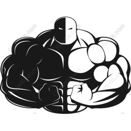 Muscular Strength