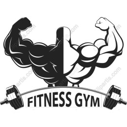 Muscular Fitness Gym