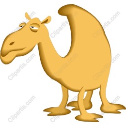 Whimsical Camel