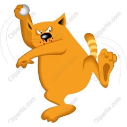 Sporty Cat
