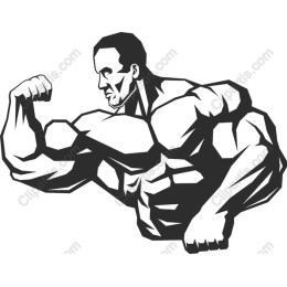 Muscular Man