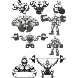 Muscle Power Set
