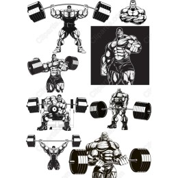 Dynamic Weightlifting Bundle