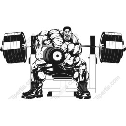 Dynamic Bodybuilder