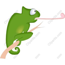 Playful Chameleon