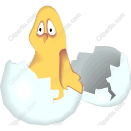 Hatchling in Egg