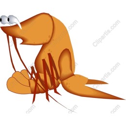 Whimsical Walrus