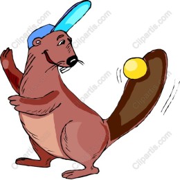 Cheerful Beaver