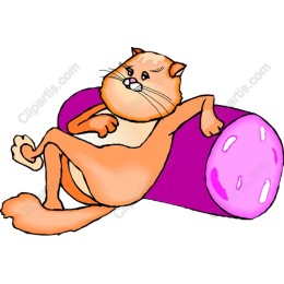 Relaxed Cat