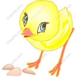 Charming Chick