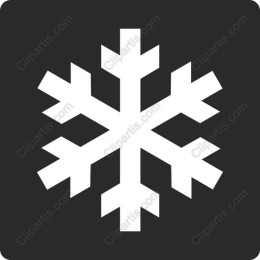 Elegant Snowflake
