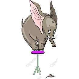 Circus Elephant