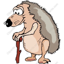 Adorable Cartoon Hedgehog