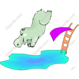 Hippo Splash