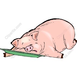 Adorable Relaxed Pig