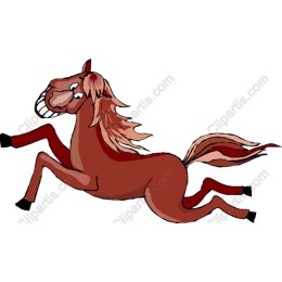 Playful Horse