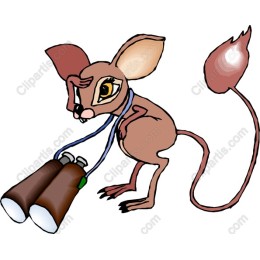 Adventure Mouse