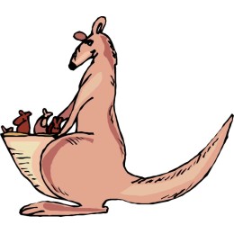 Kangaroo Family