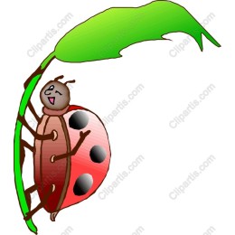 Cheerful Ladybug