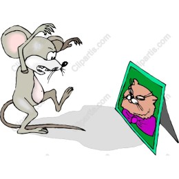 Playful Mouse Confronting Cat Portrait