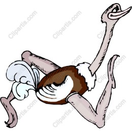 Whimsical Ostrich