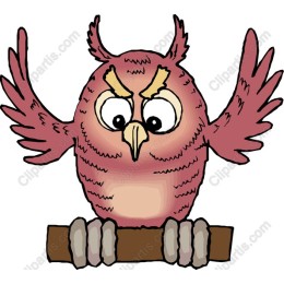 Whimsical Owl