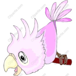 Pink Cockatoo