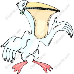 Charming Pelican