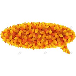 Vibrant Autumn Leaf