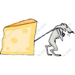 Playful Rat with Cheese