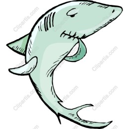 Charming Shark