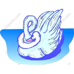 Graceful Swan