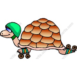 Skater Turtle