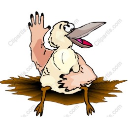 Whimsical Cartoon Pelican