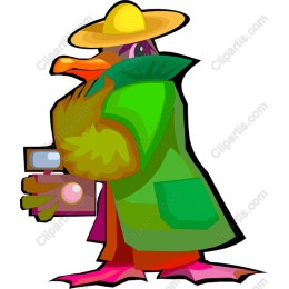 Whimsical Duck Photographer