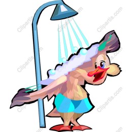 Charming Shower Bird