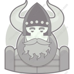 Viking Warrior