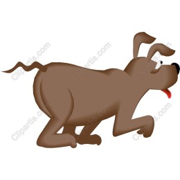 Playful Brown Dog