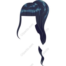 Elegant Ponytail