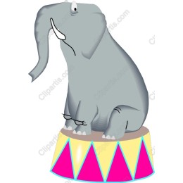 Adorable Elephant on Circus Drum