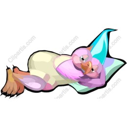 Charming Sleeping Owl