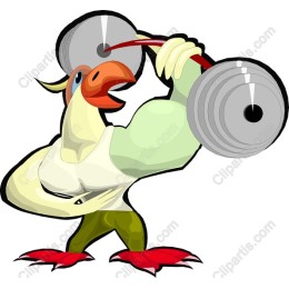 Muscular Bird Weightlifting