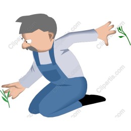 Gardener in Action