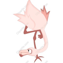 Playful Flamingo