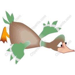 Whimsical Duck