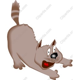 Playful Cat